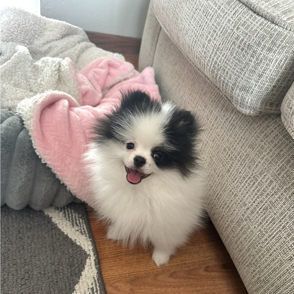 ❤️LOVES OFFERS ❤️! - Picture 6 of 16